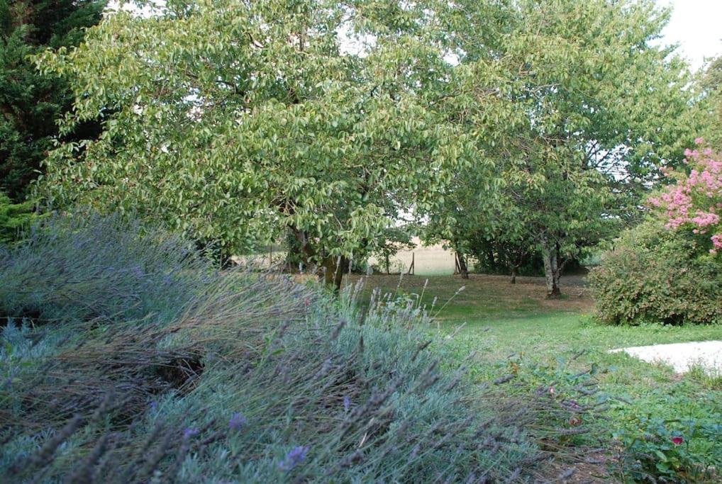 Uniquely Private Holiday Villa In The Charente Puyreaux المظهر الخارجي الصورة