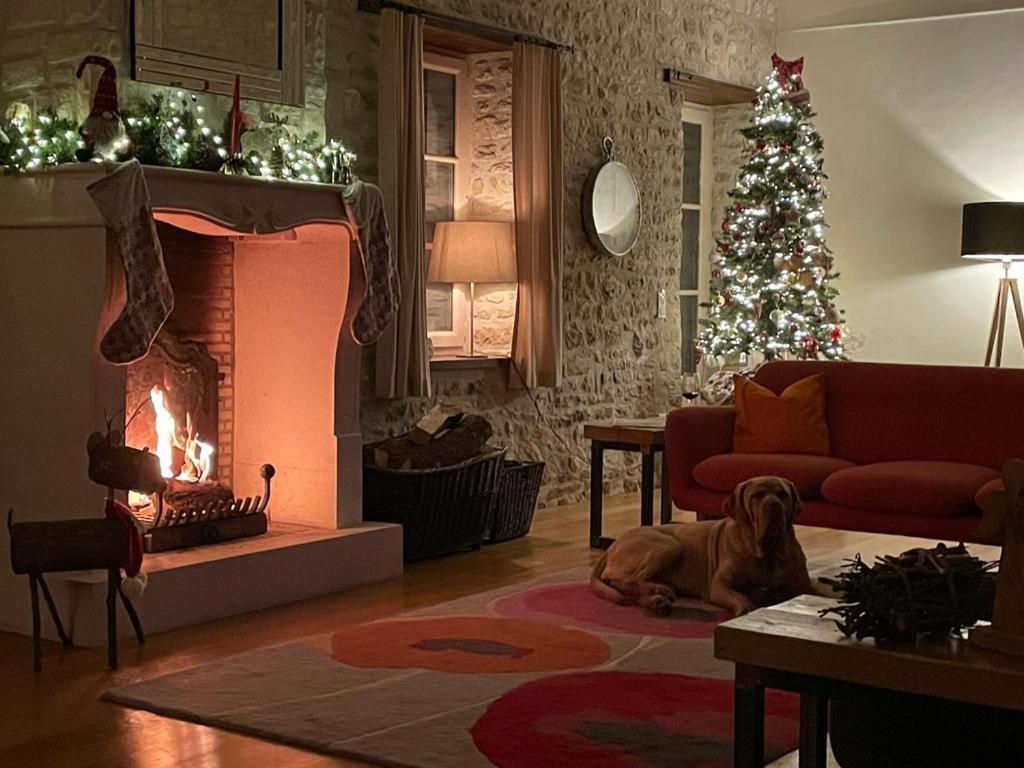 Uniquely Private Holiday Villa In The Charente Puyreaux المظهر الخارجي الصورة